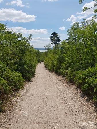 Batsányi-kilátó
 Batsányi-kilátó |