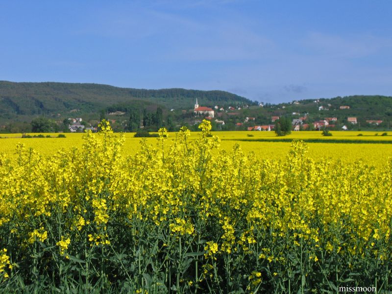 Káli-medence csodái Káli-medence csodái